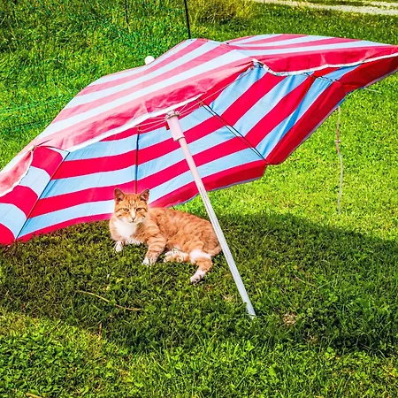 Hanserbauer-2 By Interhome *