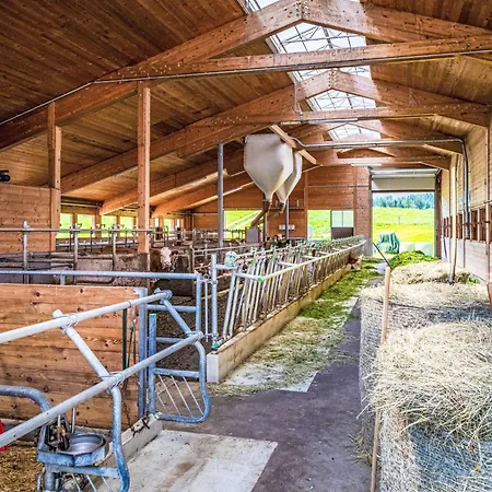 Апартаменты Hanserbauer-2 By Interhome *