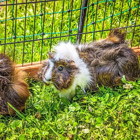 Hanserbauer-2 By Interhome Апартаменты *