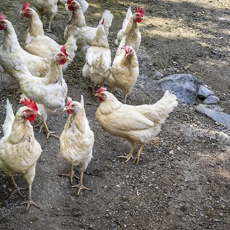 Апартаменты Hanserbauer-2 By Interhome