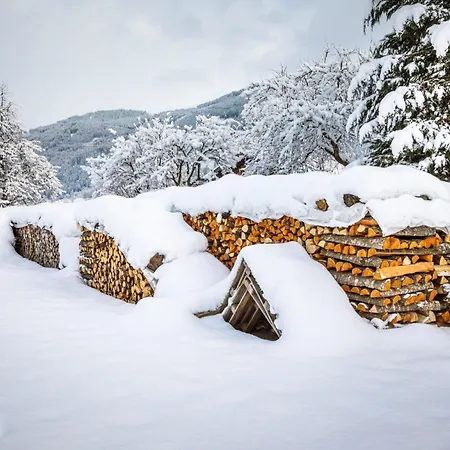 Hanserbauer-2 By Interhome * Oberhaus