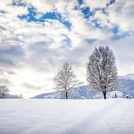 Hanserbauer-2 By Interhome * Oberhaus