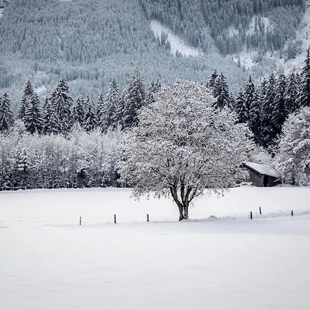 Apartmán Hanserbauer-2 By Interhome *