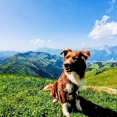 Apartmán Hanserbauer-2 By Interhome *