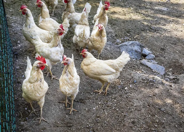 아파트 Hanserbauer-2 By Interhome